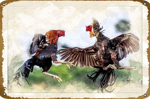 Vintage Fashion Posters - Fighting Cocks Animal Vintage Tin Sign